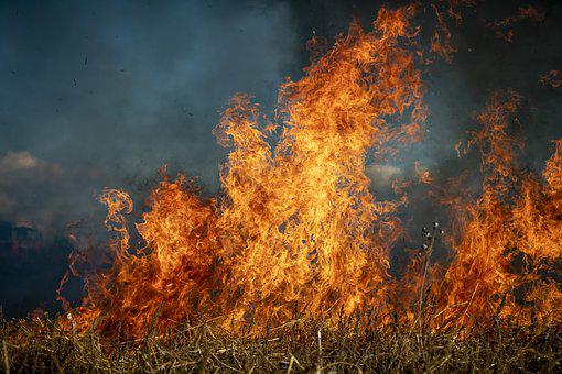 Пожарные Югры помогут в тушении лесных пожаров в Красноярском крае