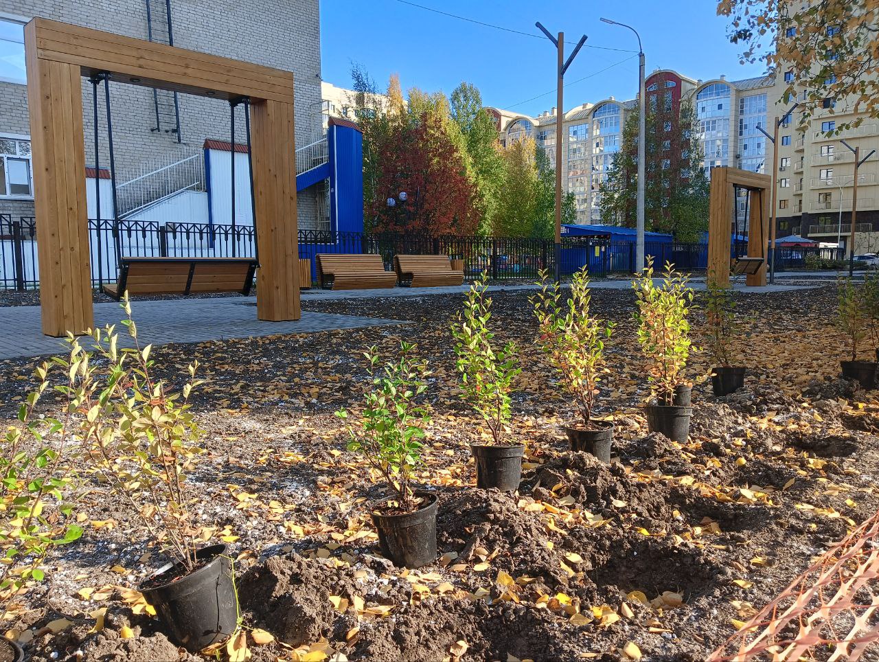 В новом сквере "Поколение" в Нижневартовске начали высаживать деревья